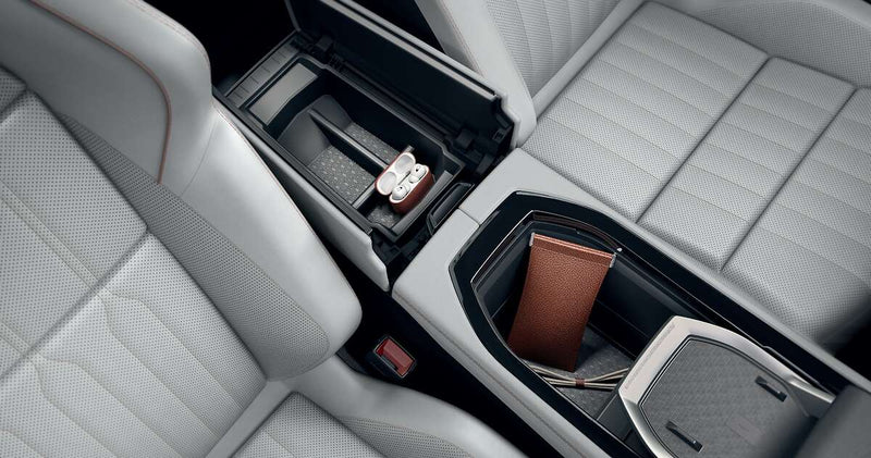 Renault Organizador Original