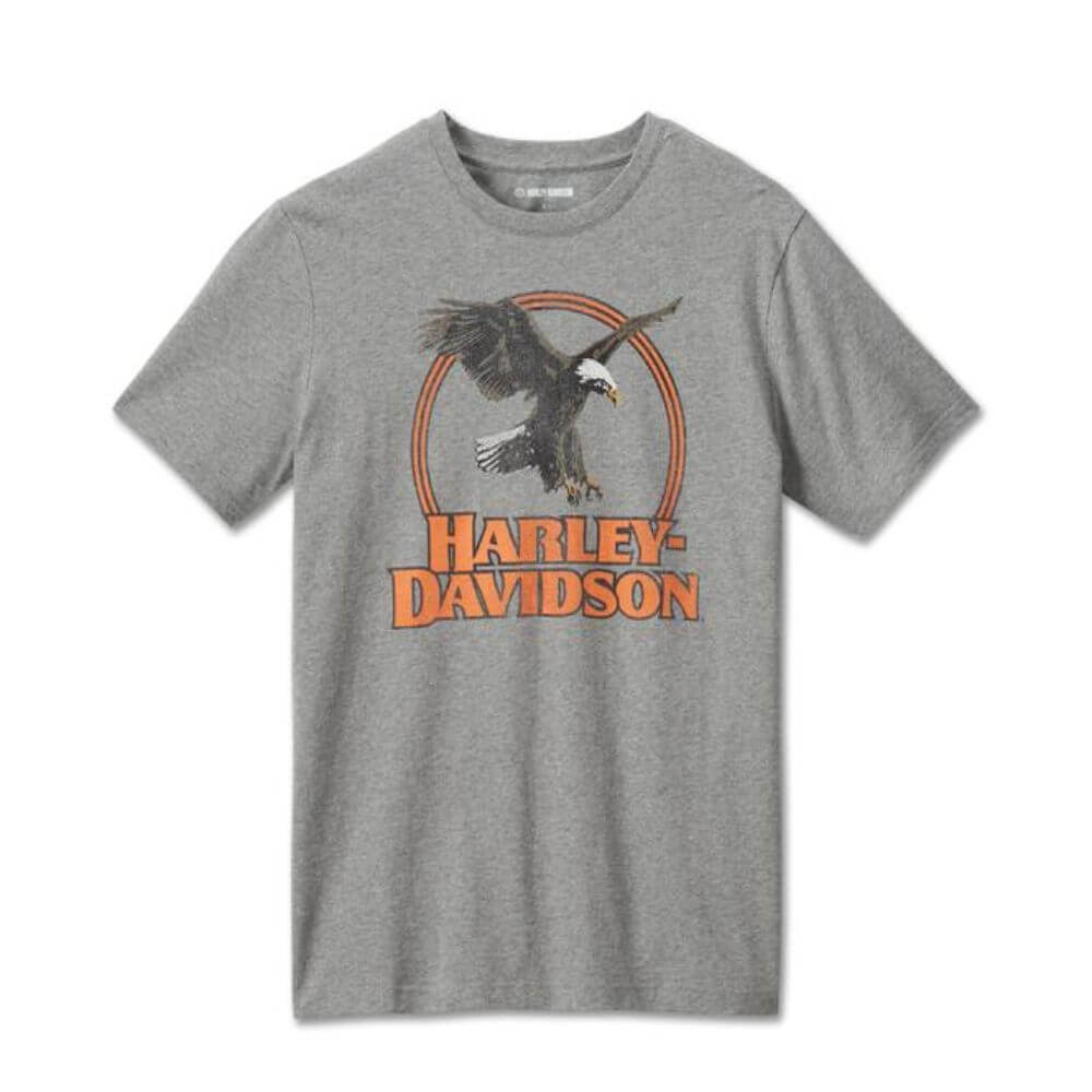 Harley-Davidson Camiseta Monument Valley Hombre Gris Jaspeado