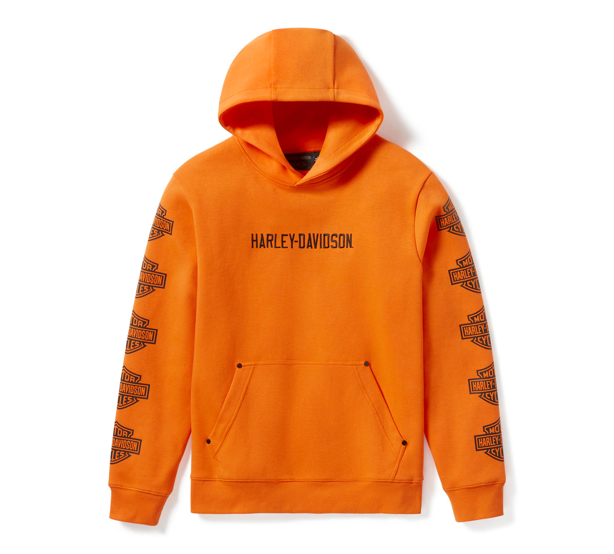 Harley-Davidson Sudadera con Capucha Hombre