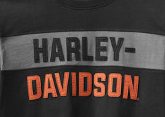 Harley-Davidson Camiseta Colorblock Hombre